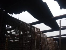 Angin Kencang Terjang Boyolali, Lima Rumah di Cepogo Rusak